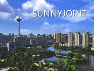 SUNNYJOINT Chemické látky založené v Shenyangu